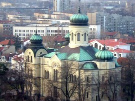 Vidin