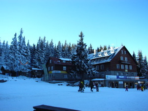 alt1