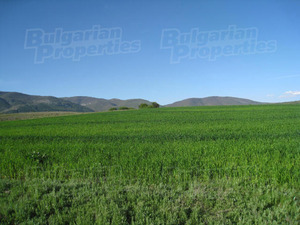 Agricultural land in Bulgaria