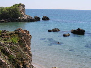 alt1