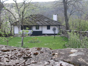 alt1