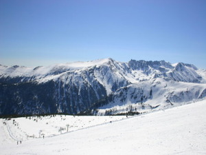 alt1