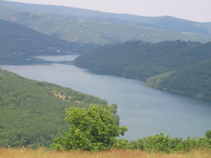 alt1