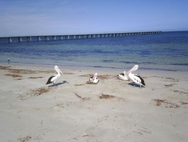 Click photo to enalrge