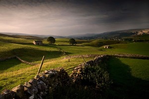 Photo by Rick Harrison