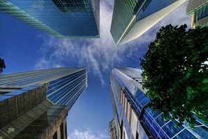 Photo by Daniel Cheong