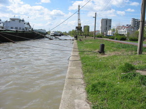 The Danube near the town of Vidin