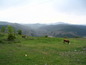 House for sale near Kardjali, Bulgaria - Nicely presented family property with a large garden.