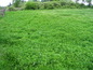 House for sale near Kardjali, Bulgaria - Nicely presented family property with a large garden.