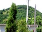 House for sale near Burgas, Bulgaria - A nice rural property near Aytos