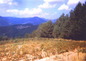 Agricultural land for sale near Pamporovo