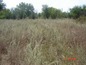 Land for sale near Karnobat