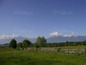 Views from the village