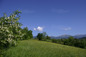 Views to the plot of Godlevo Resort