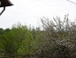 <I>View from the 2nd floor</I>