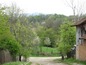 <I>The neighborhood</I>