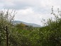 <I>The house is surrounded by greenery</I>