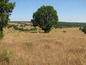 Investment land for sale near Elhovo