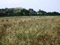Agricultural land for sale near Burgas