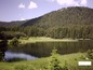 Development land for sale near Pamporovo