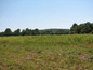 Investment land for sale near Elhovo