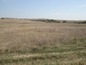Agricultural land for sale near Haskovo