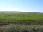Agricultural land for sale near Yambol