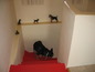 House for sale near ELHOVO, Bulgaria - An attractive house in excellent condition with extremely big garden.