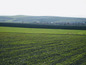 Agricultural land for sale near Burgas