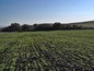 Agricultural land for sale near Burgas