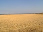 Agricultural land for sale near Sunny Beach