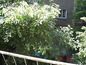 <I>View from the terrace</I>