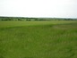 Agricultural land for sale near Burgas