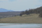 Land for sale near Vidin