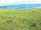Development land for sale near Tsarevo