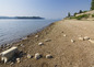 Vidin Suites: Luxury apartments for sale in Vidin close to the Danube River