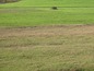 Agricultural land for sale near Elhovo, Bulgaria - Over 65 acres of agricultural land on perfect price. Have a look!!!