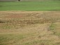 Agricultural land for sale near Elhovo, Bulgaria - Over 65 acres of agricultural land on perfect price. Have a look!!!