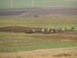 Agricultural land for sale near Elhovo, Bulgaria - Over 65 acres of agricultural land on perfect price. Have a look!!!