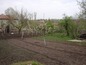 The garden