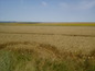 Agricultural land for sale near Burgas