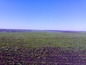 Huge plot of agricultural land. Wise investment!