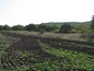 A big plot of agricultural land close to the motorway