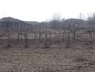 House for sale near SLIVEN, Bulgaria - Nice old house with very big garden
