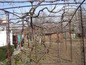 House for sale near SLIVEN, Bulgaria - Nice old house with very big garden