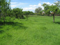 Land for sale near Montana