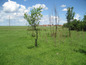 Land for sale near MONTANA, Bulgaria - Well-sized plot of land, part of idyllic countryside