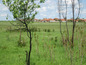 Land for sale near MONTANA, Bulgaria - Well-sized plot of land, part of idyllic countryside