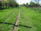 Land for sale near MONTANA, Bulgaria - Well-sized plot of land, part of idyllic countryside