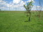 Land for sale near MONTANA, Bulgaria - Well-sized plot of land, part of idyllic countryside